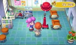 Featured image of post Shampoodle Acnl Face Guide Shampoodle by t saron beauty saloon is a business in the animal crossing series that allows the player to change their hair style and color