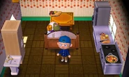 La maison de Cashmir dans New Leaf