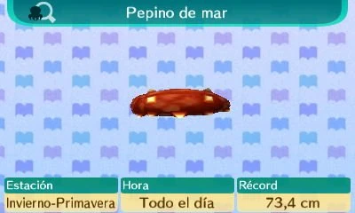 Ventana Pepino de mar NL