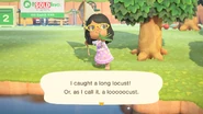 NH Long Locust Catch.jpg (199 KB) Long locust in New Horizons