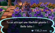 Un joueur ayant attrapé une libellule géante dans New Leaf