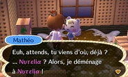 Mathéo | Animal Crossing Wiki | Fandom