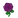 NH-purple roses-icon