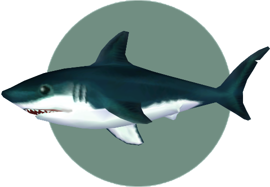 Great white shark | Animal Crossing Wiki | Fandom