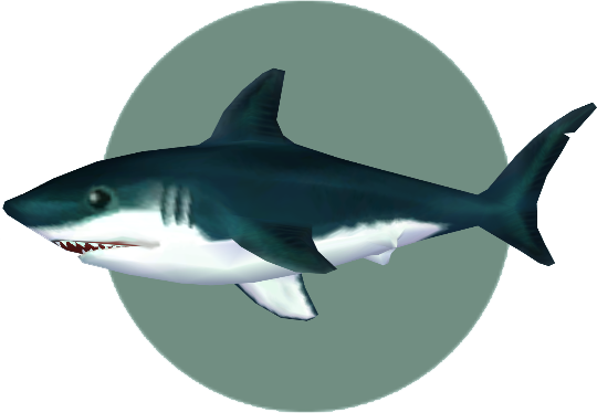 Great White Shark Animal Crossing Wiki Fandom