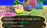 Willow reminding the player to visit her house.