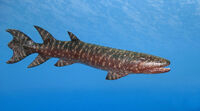 Fossil-Eusthenopteron-FurtherInfo-0
