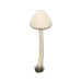 NH-Meuble-Lampe champi-Blanc