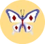 Papillon d'hiver icon