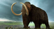 Reconstitution d'un mammouth