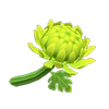 Chrysanthème vert-NH.png (13 kio) Hybride verte