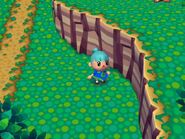 Animal Crossing wikia Pictures