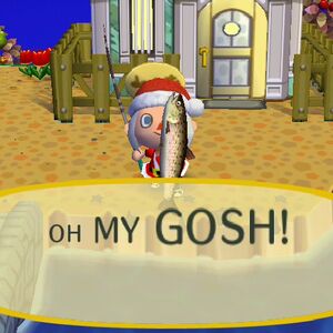 Stringfish Animal Crossing Wiki Fandom Et je me souviendrai toujours de toi comme un enfant, fille. stringfish animal crossing wiki fandom