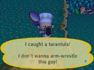 Tarantula in City Folk.