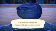 Pêche de la Lune de mer dans New Horizons