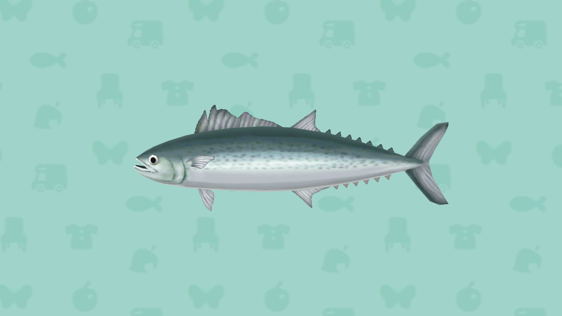 Spring mackerel Animal Crossing Wiki Fandom