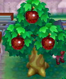 Perfect apples