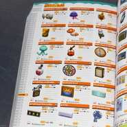 Un extrait du livret, montrant des meubles muraux