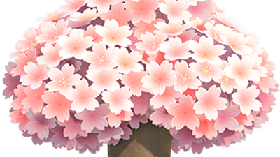 CHERRY BLOSSOM in Animal Crossing New Horizons (ALL 14 SAKURA ITEMS &  Everything You Need To Know) 