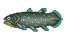 Coelacanth (Wild World).png