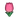 NH-pink tulips-icon