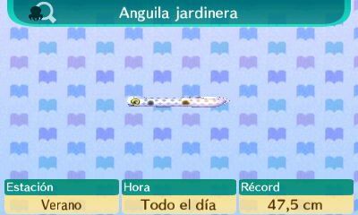 Anguila Jardinera Animal Crossing Enciclopedia Fandom