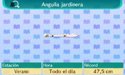 Anguila Jardinera Animal Crossing Enciclopedia Fandom