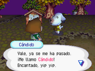 Conociendo a Cándido en Wild World