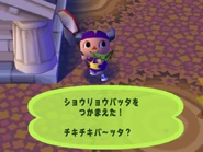 Long Locust e+.png (233 KB) Long Locust in Animal Forest e+.