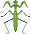 Mantis (Wild World).png