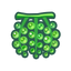 NH-Icon-seagrapes