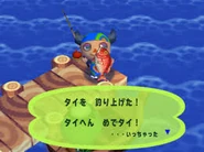 Le joueur ayant péché un vivaneau dans Dōbutsu no Mori