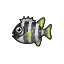 Barred Knifejaw HHD Icon.png