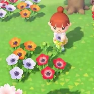 Fleurs1.jpg (115 kio) Joueuse cueillant une fleur.