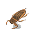 NH-Furniture-Giant water bug model.png