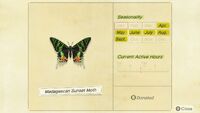 Madagascan sunset moth Animal Crossing Wiki Fandom