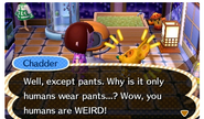 Chadder talking about pants