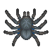 Tarantule (Monde sauvage).png