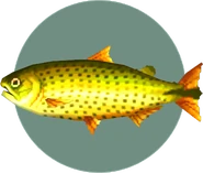 Dorado (City Folk).png (99 KB) City Folk