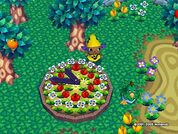 Horlogefloralednme