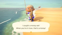 Moray Eel Gallery Animal Crossing Wiki Fandom