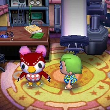 Observatory Animal Crossing Wiki Fandom