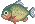 Piranha dans Wild World