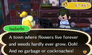 Isabelle describing the Beautiful Town Ordinance