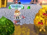 Sucette