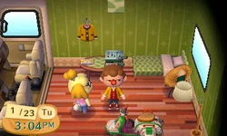 NL Winter Isabelle RV