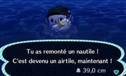Nautile.jpg (8 kio) Un nautile remonté dans New Leaf