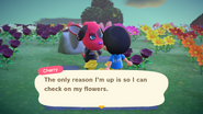 Cherry checking on her flowers at 5:40AM.