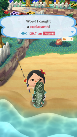 Coelacanth/Gallery | Animal Crossing Wiki | Fandom