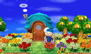 La maison de Cornio vue de l'extérieur dans New Leaf